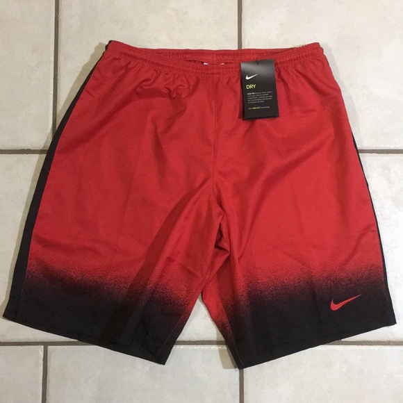 Nike Other - Men’s Nike Dri-fit Shorts